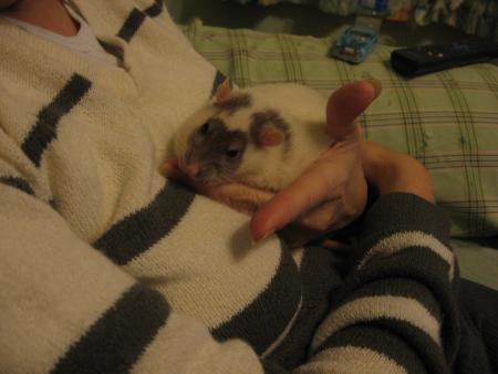 FANNY TOUT COMME VICKY VA NOUS QUITTER AUSSI  .