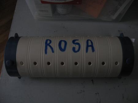 LA DERNIERE DEMEURE DE ROSA  .