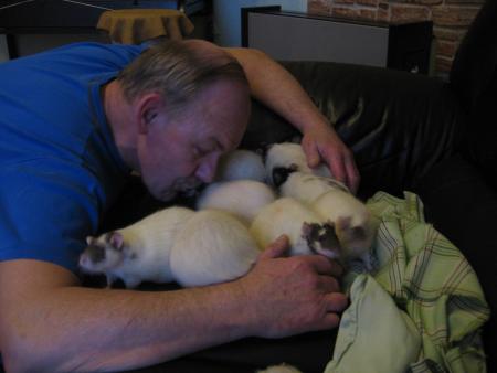 LES 9 FIFILLES  3  .