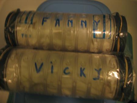 DERNIERE MAISON LEUR  JOUET   ( vicky  &  fanny )  .