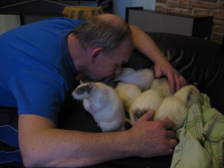 LES 9 FIFILLES  4   .