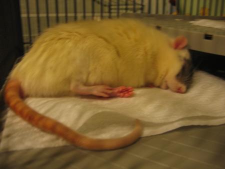 CHANGEMENT DE POSITION POUR MAX  .