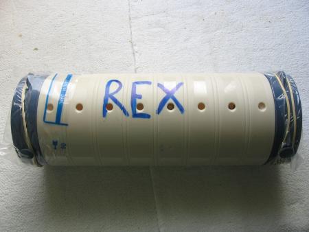 LA DERNIERE MAISON DE REX  .