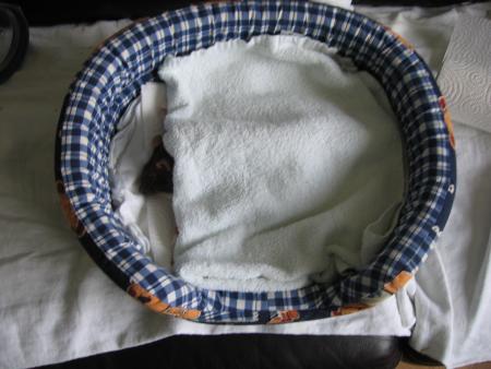   ZINA BIEN COUVERTE .