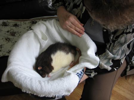 JUMPY NE VA PAS BIEN DU TOUT  !! .