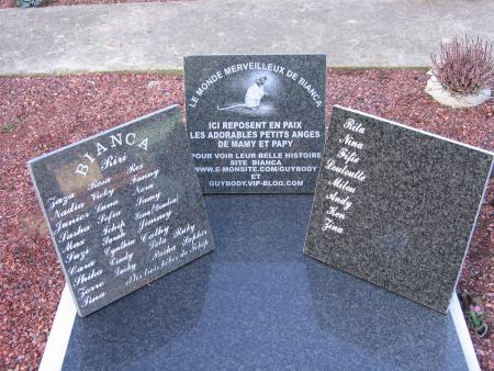 BEAUCOUP DE PARTIS  DEJAS  !!!!