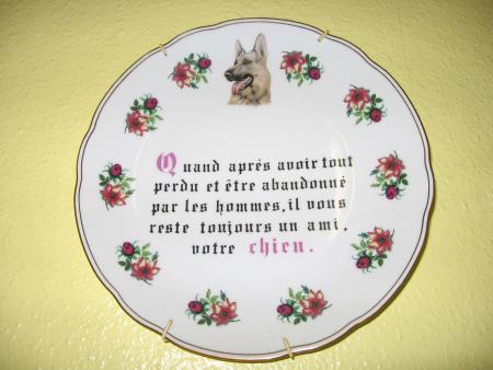 LA  B�TISE  ET  LA  DESTRUCTION  HUMAINE