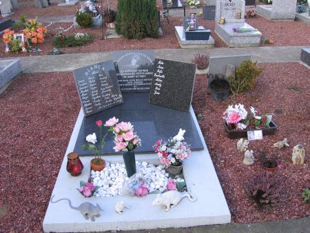 CELA FAIT BEAUCOUP DEJAS