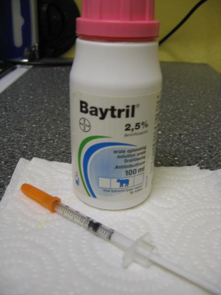 ANTIBIOTIQUE BAYTRIL  .