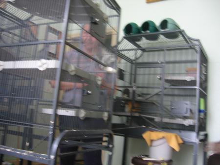 PROPRETE RHIME AVEC SANTE  .