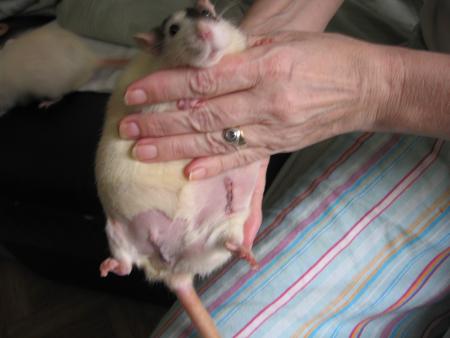 DOUBLE OPERATION POUR NADIA  .