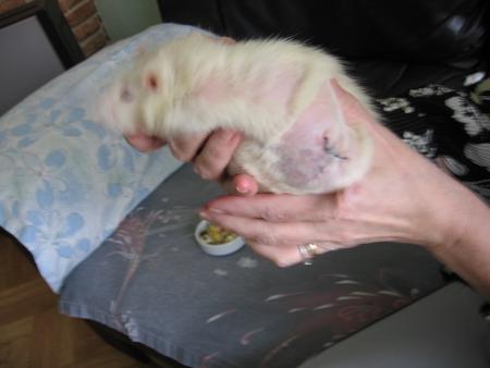 LA 3 �me OPERATION DE SUZY  .