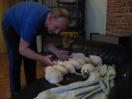 ELLES SONT OBEISSANTES  .