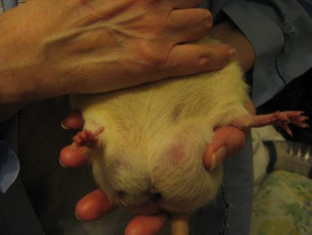 LUNA  BEAUCOUP DE TRISTESSE .