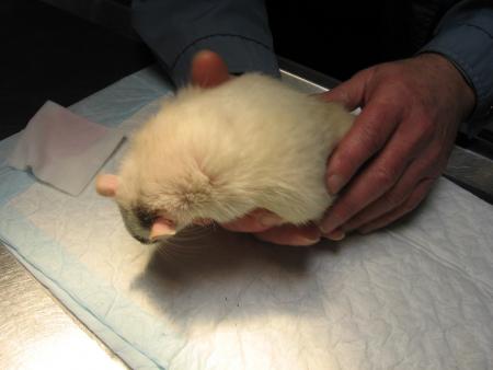 LE REVEIL DE CATHY .