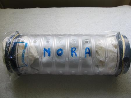 LA DERNIERE DEMEURE DE NORA   .