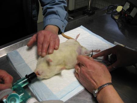 ON ENLEVE LES FILS DE CATHY .