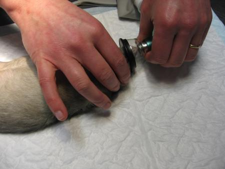 RUBY LES SOINS SOUS ANESTHESIE GENERALE .