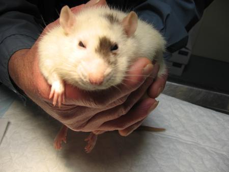 LE REVEIL DE CATHY PHOTO 2 .