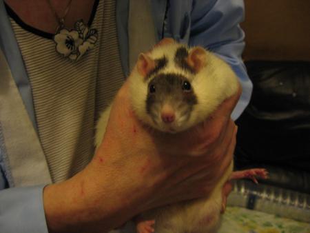 LUNA  A DES GROS PROBLEMES .