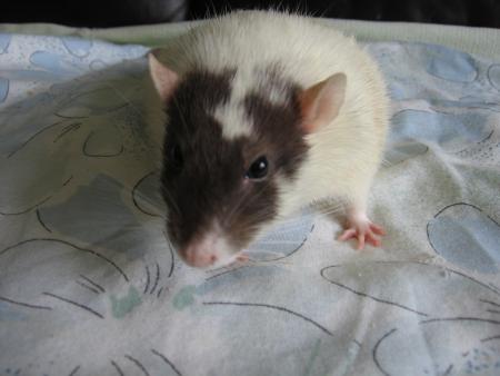 NORA  A  DES  PROBLEMES   .