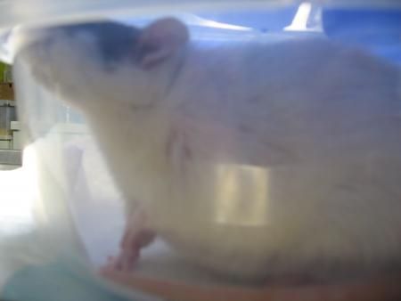 NADIA DANS LA GAZEUSE POUR S ENDORMIR .