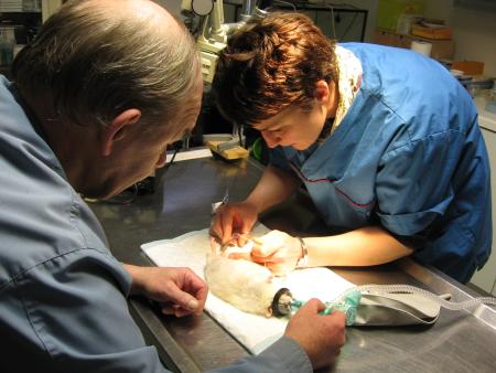 EGALEMENT UNE PONCTION POUR NADIA .