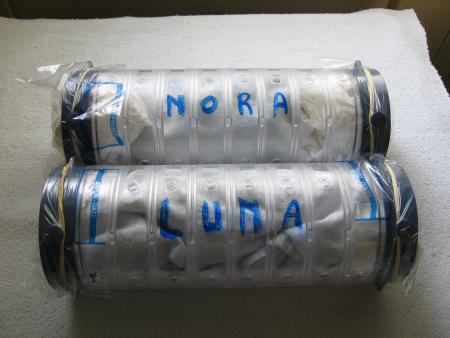 NORA ET LUNA PARTENT ENSEMBLENT POUR LE GRAND VOYAGE  .