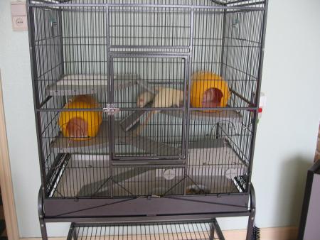 LA NOUVELLE MAISON  LOL YOUPIIIIIIIIIIIIIIIIIIE  .