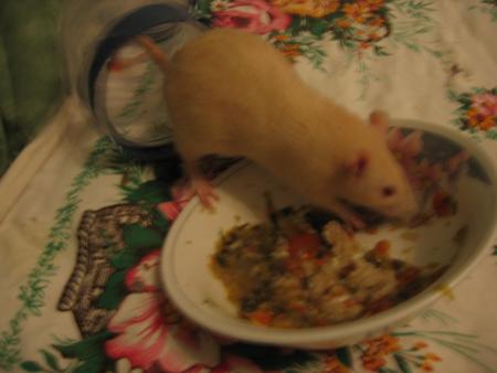 PINKI S EN DONNE A COEUR JOIE LOL   !