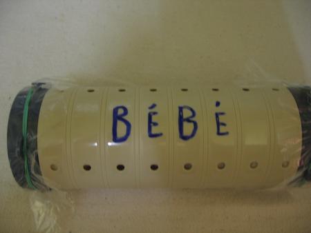 LA DERNIERE DEMEURE DE BEBE