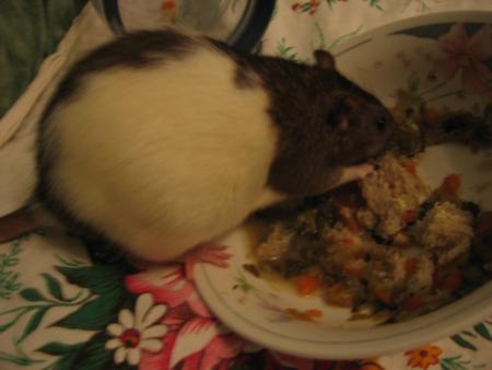 ET OUI RICKY EGALEMENT LOL .