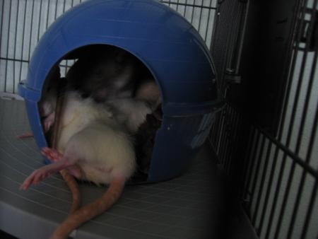 ALLEIIIIIIIIIIIIYE  ON    POUUUUSSSSSSE  !!!!!!!!!! .