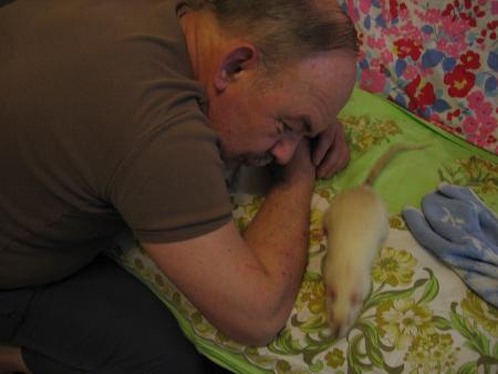  KIWI VEUT ALLE  PROMENER .