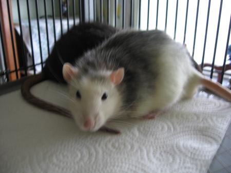 LOLLLL JAMAIS RIEN VU ?????????? .