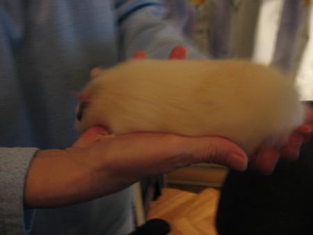 PAPY A ETE NEGLIGENT MAINTENANT QUE FAIRE MON DIEUX