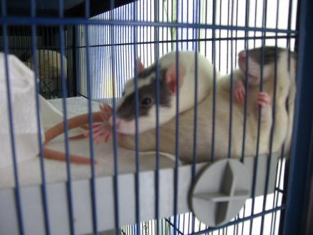 JAMAIS  TRANQUILLE ?????