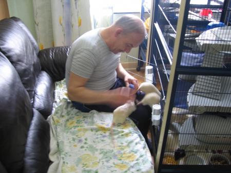 ILS RENTRENT DANS LEUR MAISON BIEN PROPRE  .