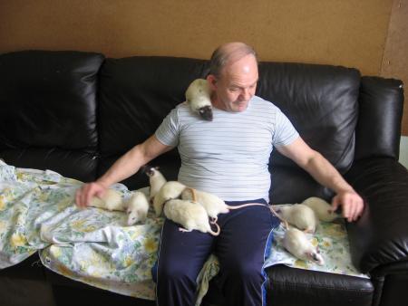 LES 10 JEUNES MALES  2  .