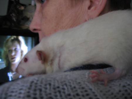 RITA EN BONNE VOIE DE GUERISON.