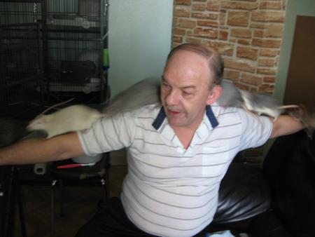 LE PONT DE LA RENTREE   .