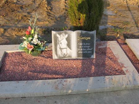 LE SEUL CIMETIERE QUI PEUT ENTERER LES CHEVAUX   .