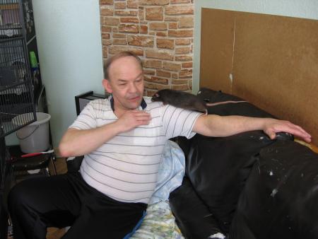 LA PROPRETE EXTREME   .