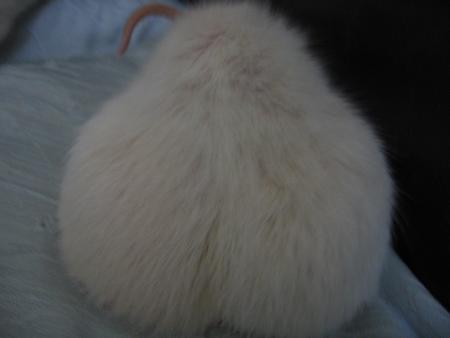 LOL LOL LOL  !!!!  NOTRE JUNIOR   .