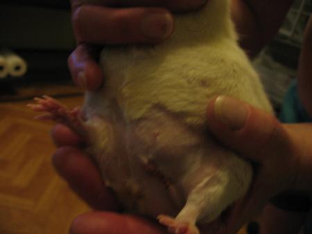 L OPERATION DE  CATHY  .