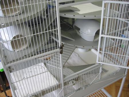 DES CAGES TRES FACILE A NETTOYER   .