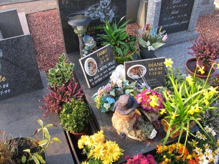 LE CIMETIERE DE TRES BEAUX MONUMENTS  .