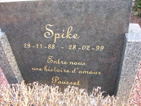 LE CIMETIERE UN ENDROIT PLEIN D EMOTIONS  .