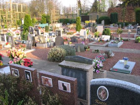 LE CIMETIERE UNE AUTRE VUE  .