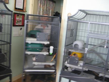 LE NETTOYAGE EST FINI ON RENTRE AU BERCAIL  .